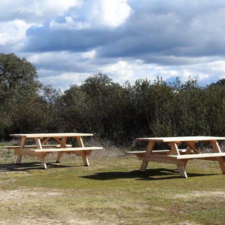 Bubulcus And Bolotas - Off Grid Nature Holiday Home Vimieiro  외부 사진