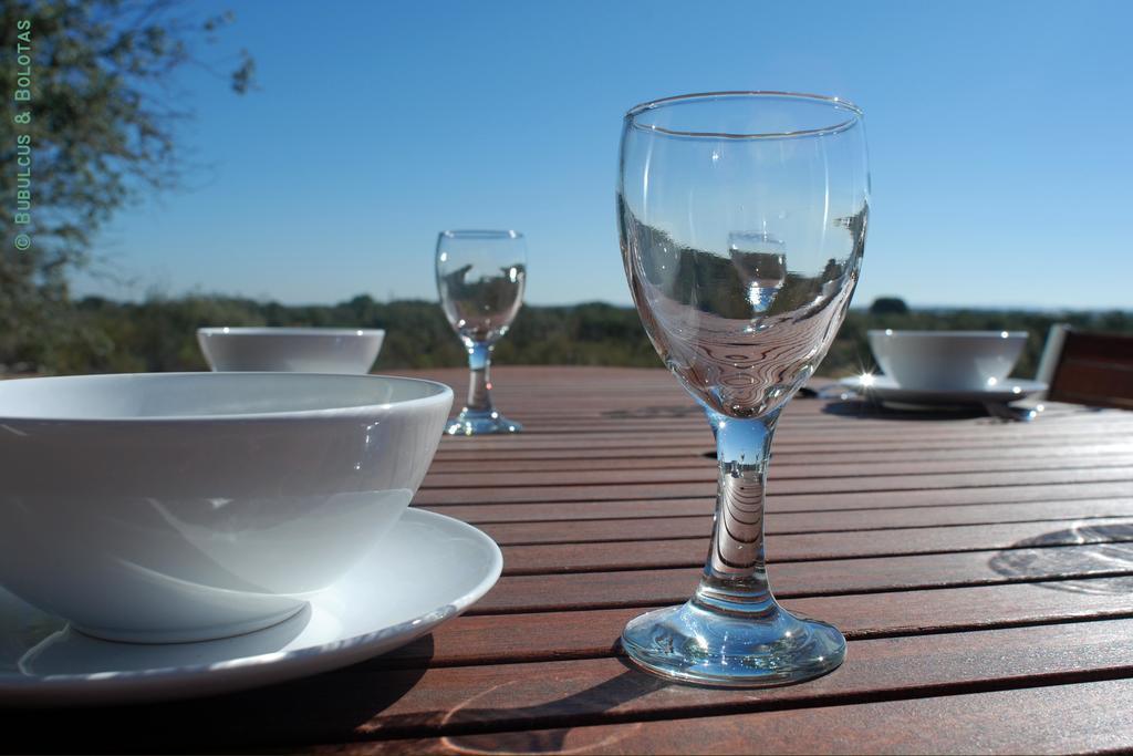 Bubulcus And Bolotas - Off Grid Nature Holiday Home Vimieiro  객실 사진
