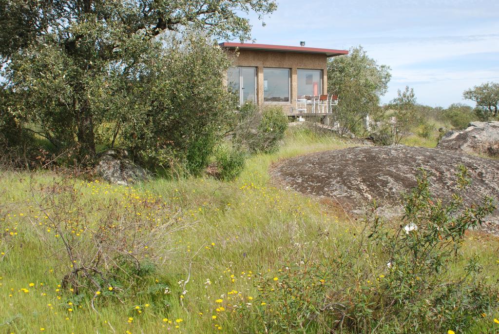 Bubulcus And Bolotas - Off Grid Nature Holiday Home Vimieiro  외부 사진