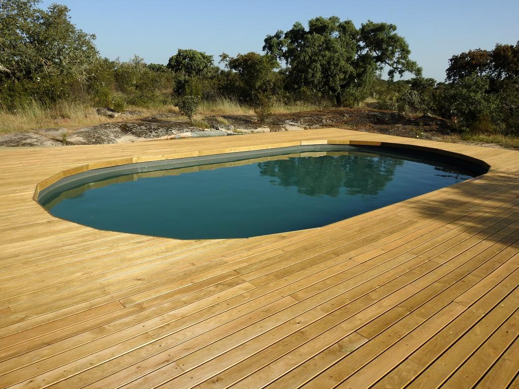 Bubulcus And Bolotas - Off Grid Nature Holiday Home Vimieiro  외부 사진