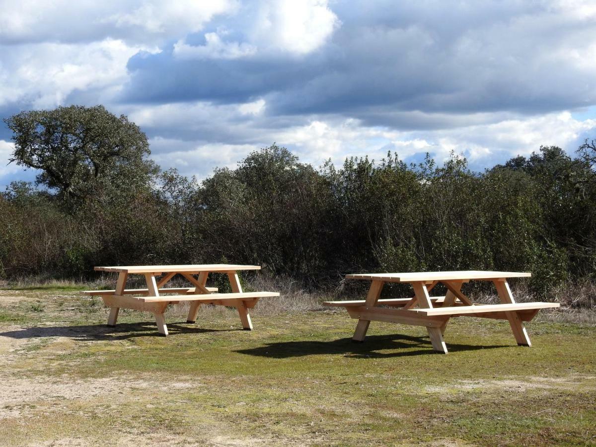 Bubulcus And Bolotas - Off Grid Nature Holiday Home Vimieiro  외부 사진